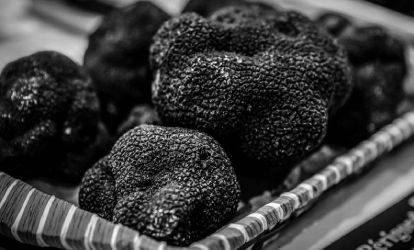 marchés aux truffes Dordogne