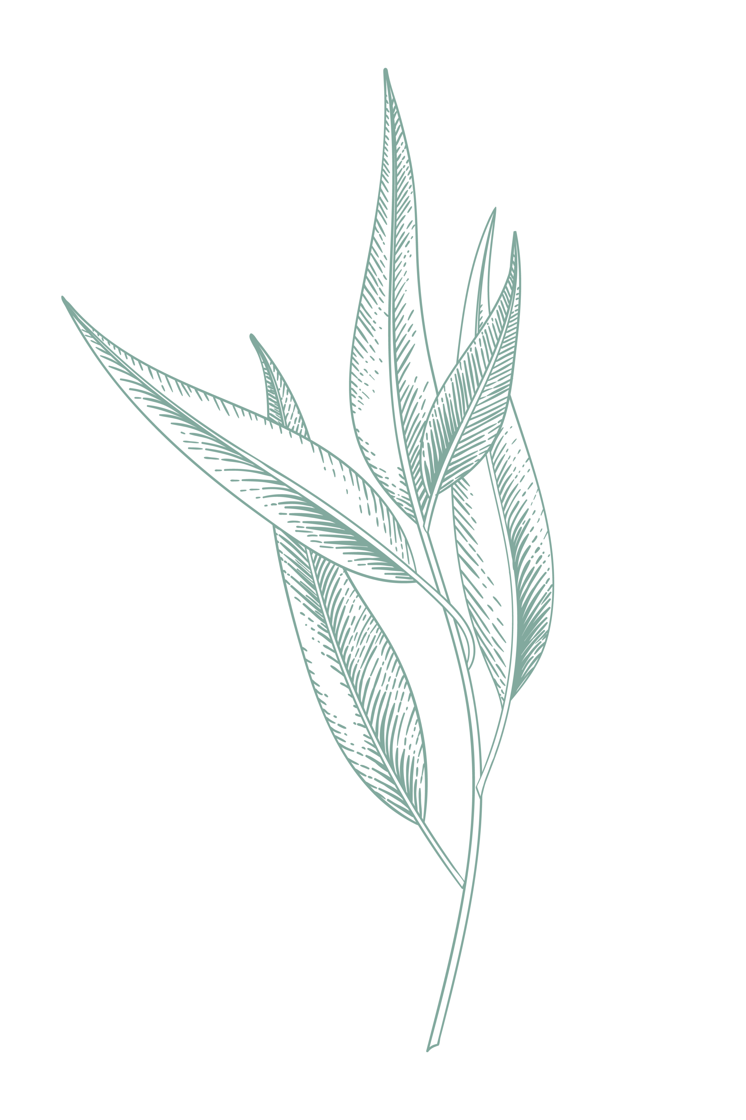 fleur