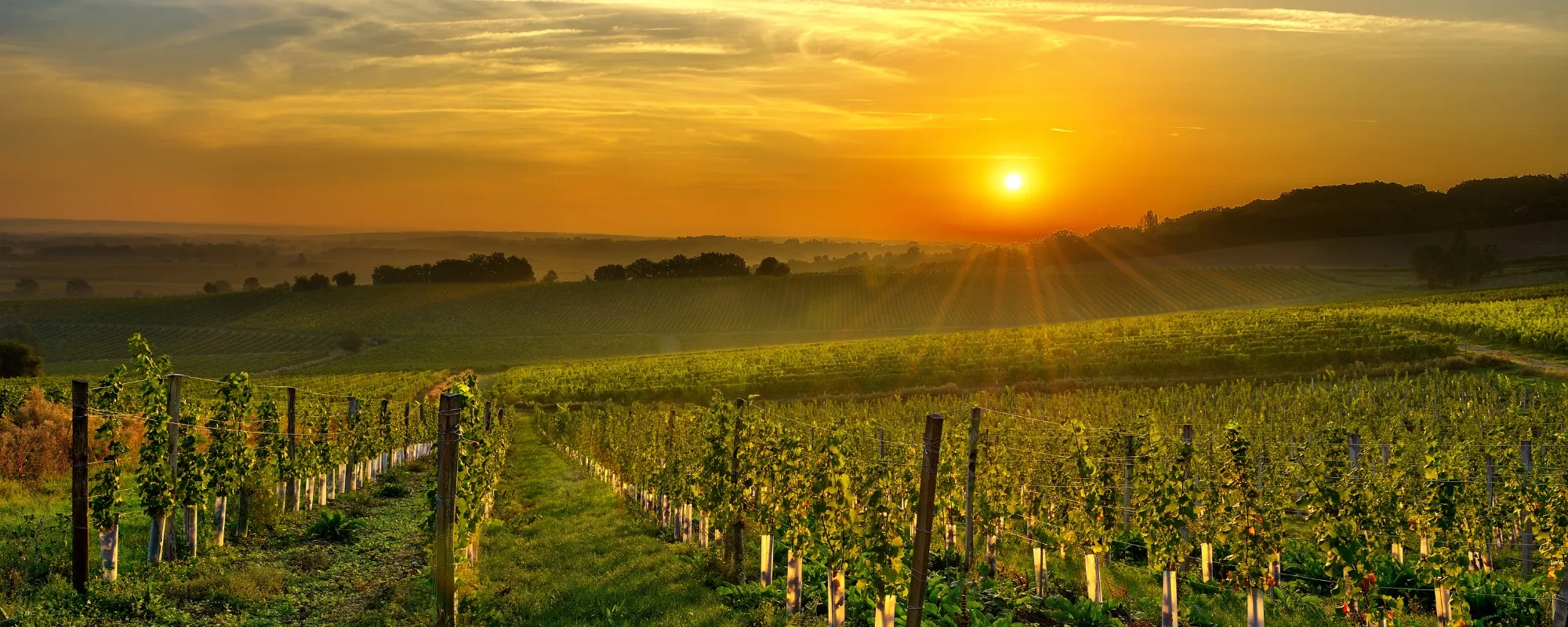 Bergerac